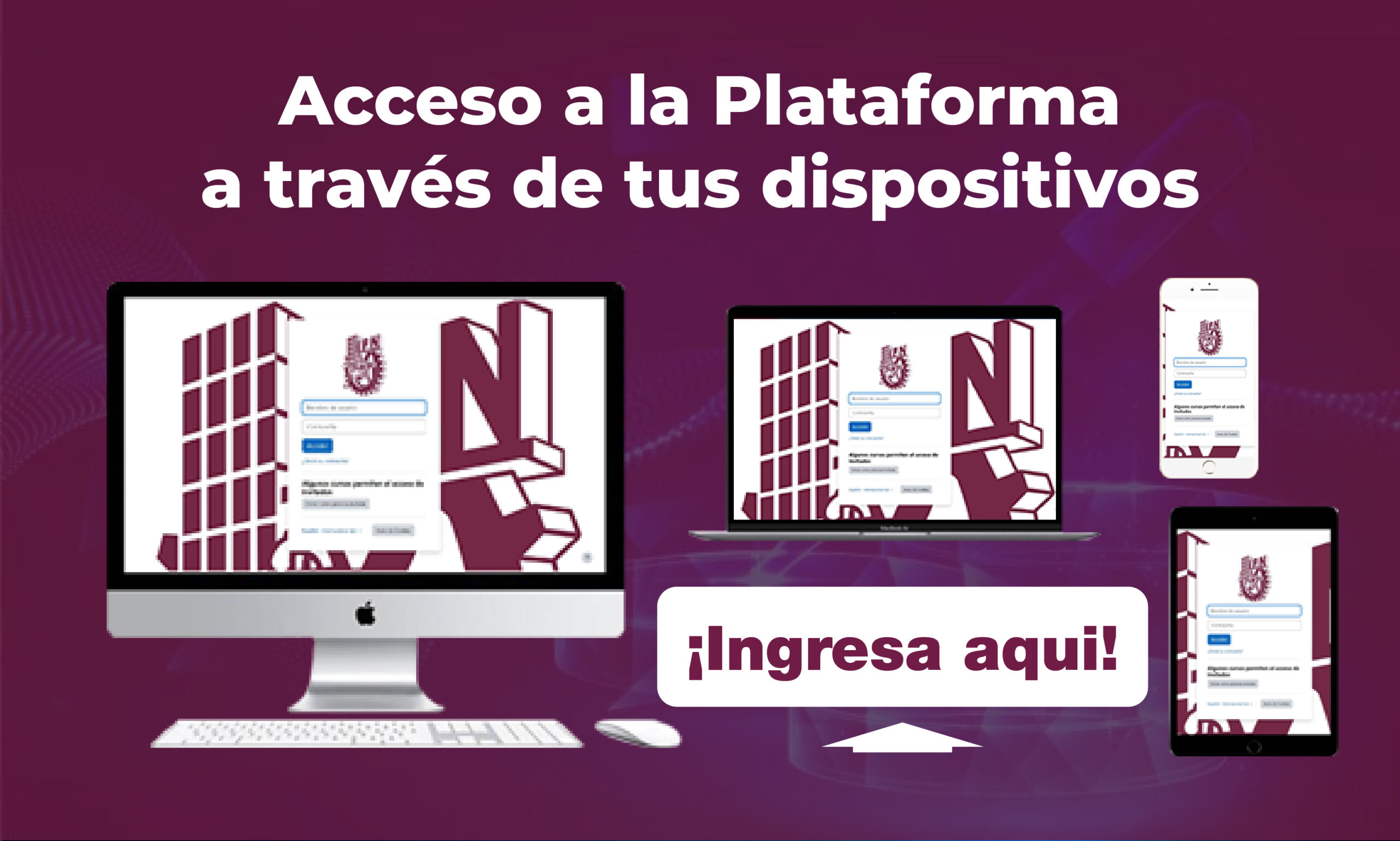 Acceso a la plataforma